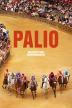 Poster image for PALIO