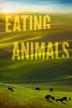 Poster image for EATING ANIMALS