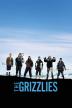 Poster image for THE GRIZZLIES