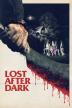 Poster image for LOST AFTER DARK