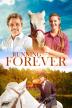 Poster image for RUNNING FOREVER