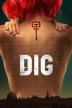 Poster image for DIG