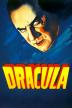 Poster image for DRACULA