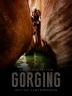 Poster image for GORGING