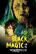 Poster image for Black Magic 2