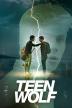 Poster image for TEEN WOLF - SEASON 4