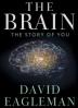 Poster image for THE BRAIN WITH DAVID EAGLEMAN