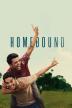 Poster image for Homebound