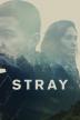 Poster image for STRAY