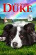 Poster image for A DOG NAMED DUKE