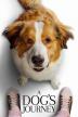 Poster image for A DOG'S JOURNEY