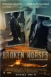 Poster image for BROKEN HORSES