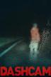 Poster image for DASHCAM