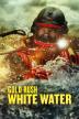 Poster image for Gold Rush: White Water - Season 9