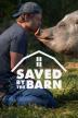 Poster image for Saved By The Barn - Season 1