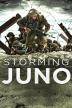 Poster image for STORMING JUNO