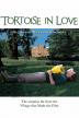 Poster image for TORTOISE IN LOVE