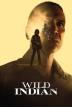 Poster image for WILD INDIAN