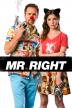 Poster image for MR. RIGHT