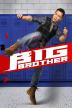 Poster image for BIG BROTHER