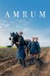Poster image for Amrum