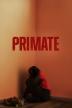 Poster image for Primate