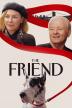 Poster image for THE FRIEND