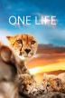 Poster image for ONE LIFE