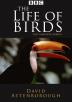 Poster image for THE LIFE OF BIRDS - THE MASTERY OF FLIGHT